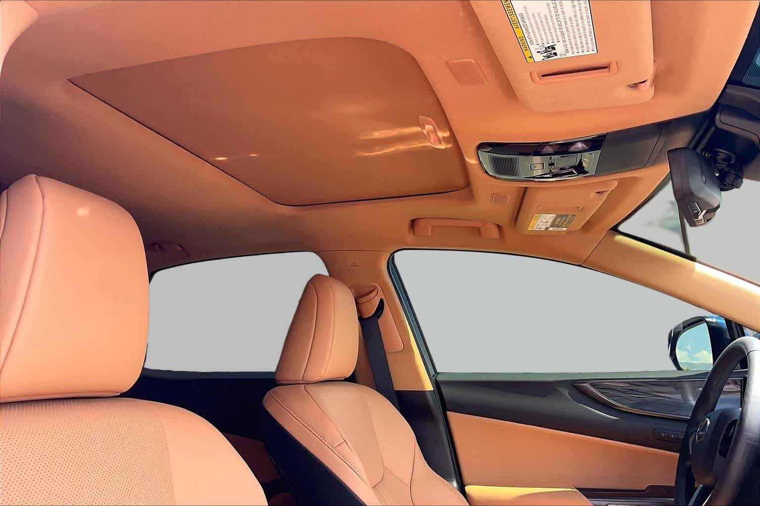 Used 2026 Grecian Water Lexus Premium image 13