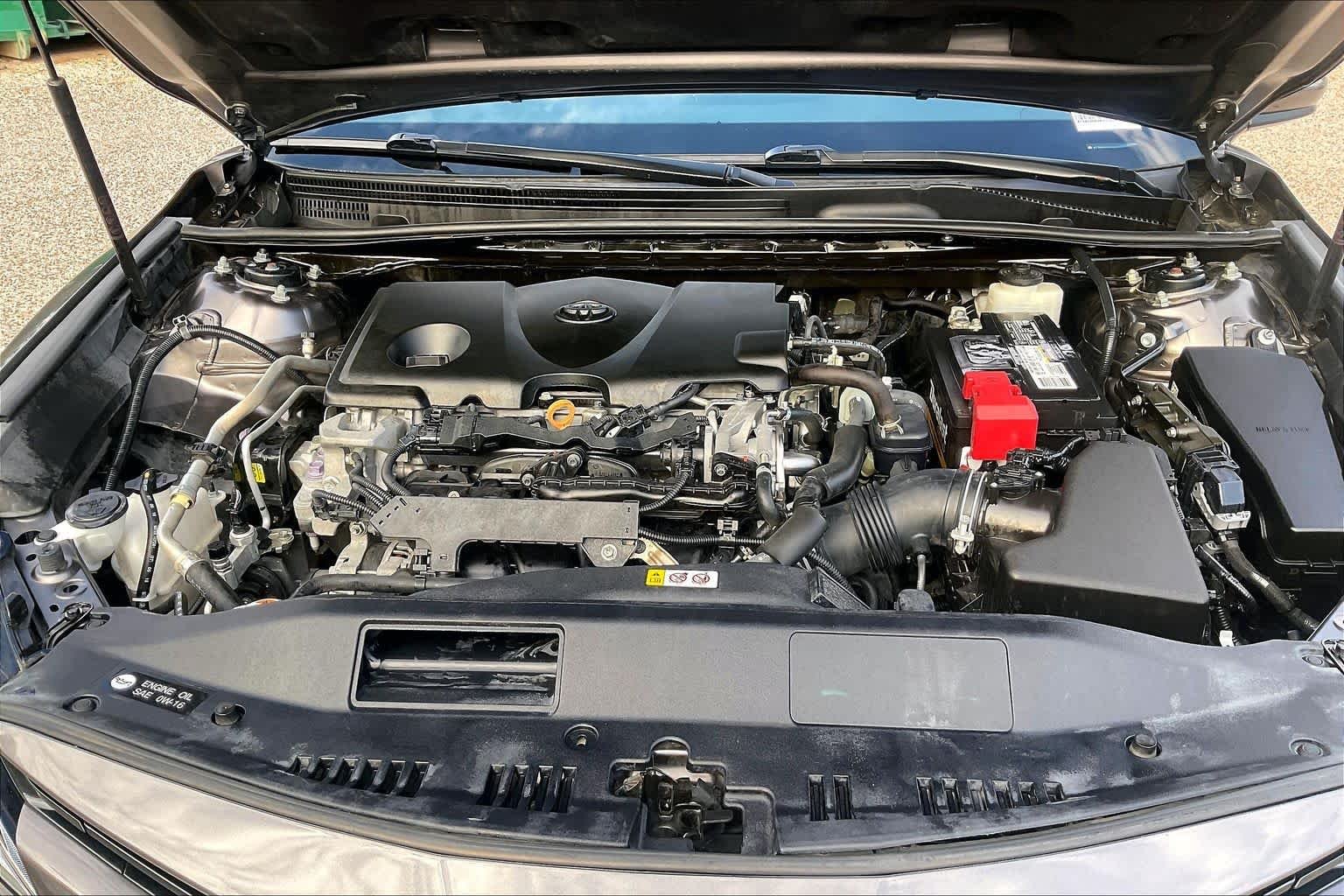 Used 2019 Predawn Gray Mica Toyota LE image 31