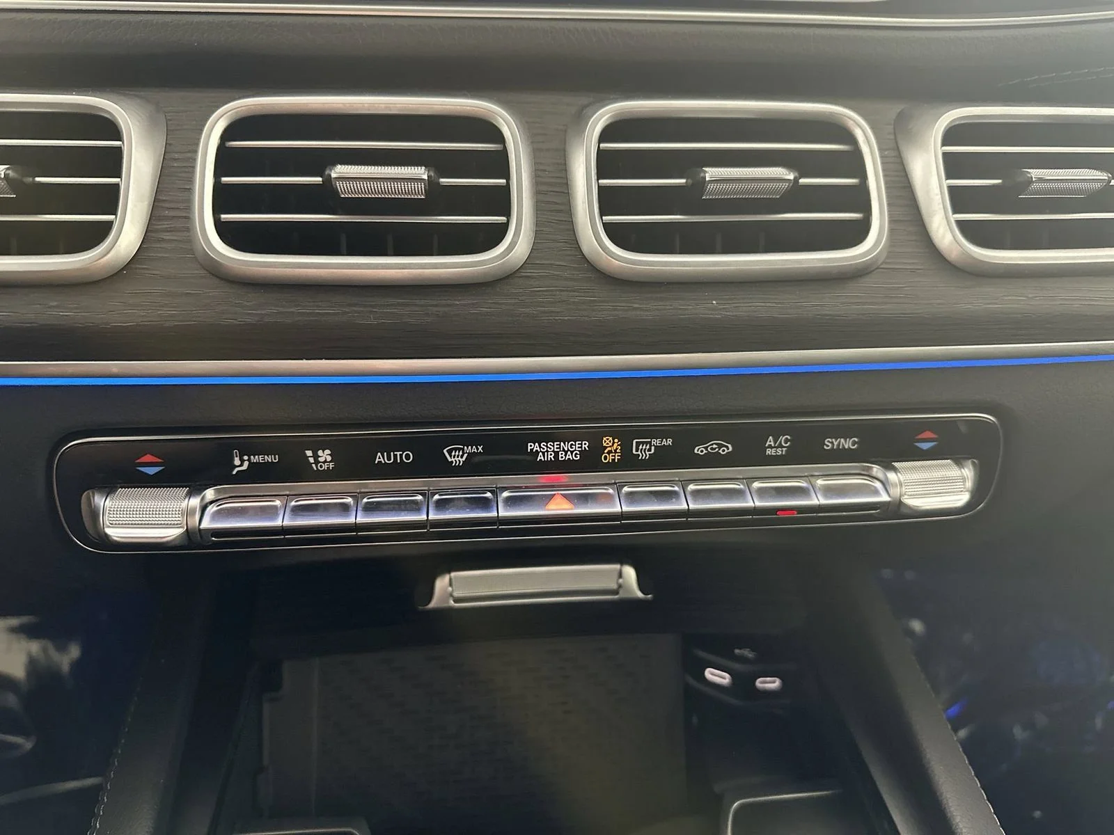 2024 Mercedes-Benz GLS Base - Photo 19
