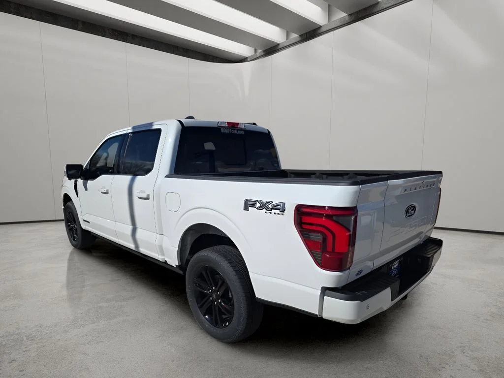 2025 Ford F-150 Platinum - Photo 3
