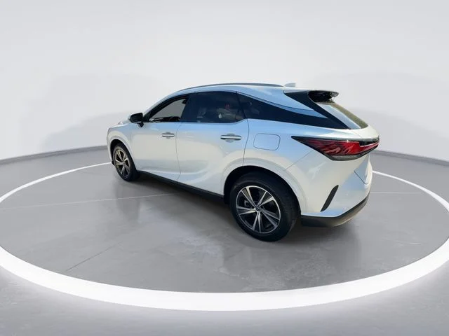 2025 Lexus RX 350 - Photo 6