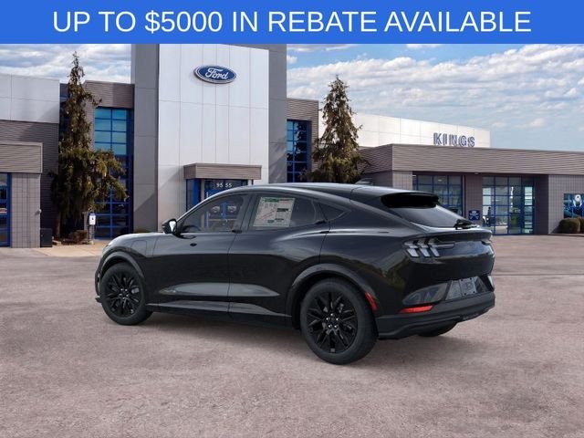 New 2026 Shadow Black Ford Premium image 4