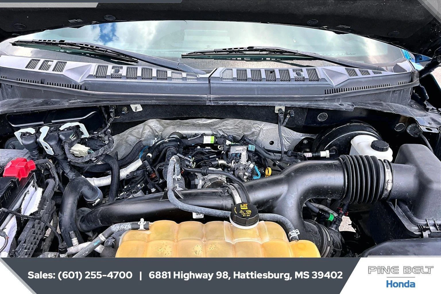 Used 2019 Velocity Blue Ford XLT image 8