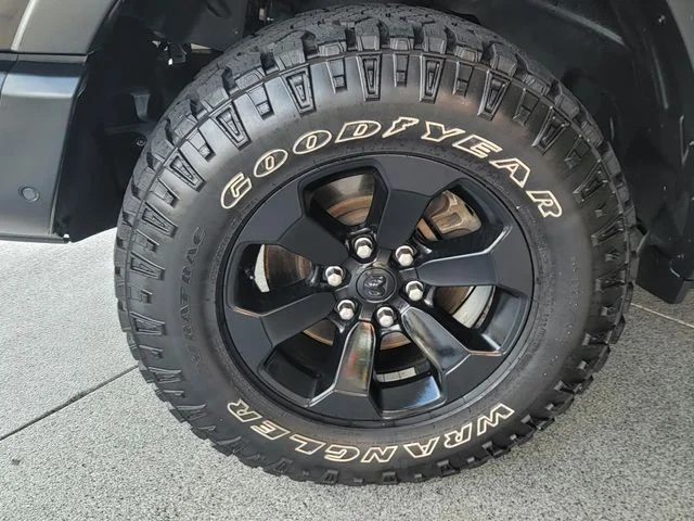 Used 2021 Black Ram Rebel image 7
