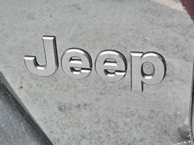 New 2026 Black Clear-Coat Exterior Paint Jeep Willys image 29