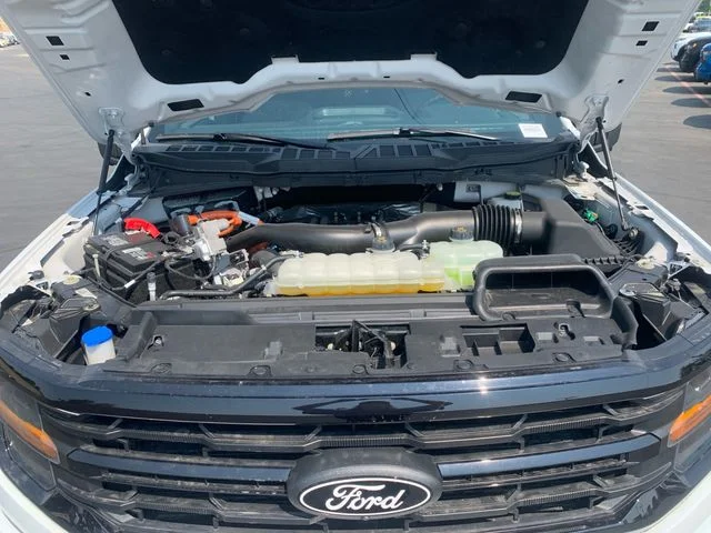 Used 2024  Ford XLT image 24