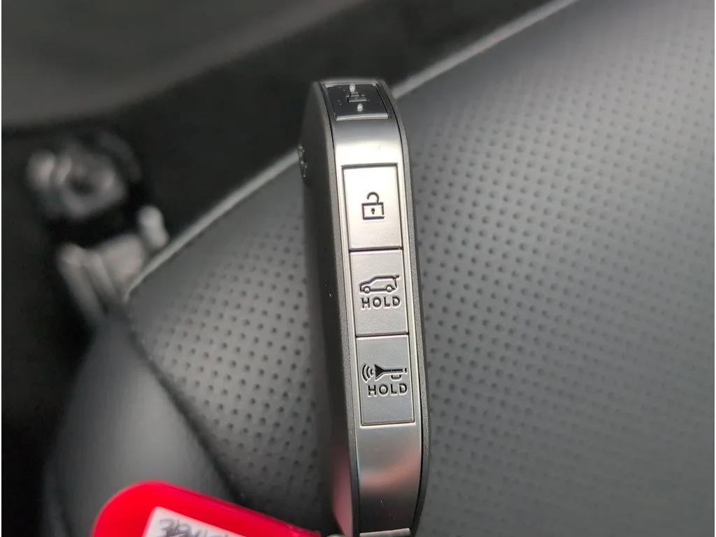 New 2026 Panthera Metal Matte Kia SX Prestige image 19