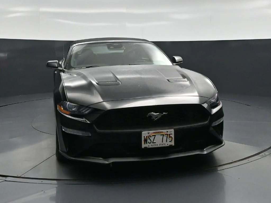 Certified Used 2023 Black Ford EcoBoost Premium image 50