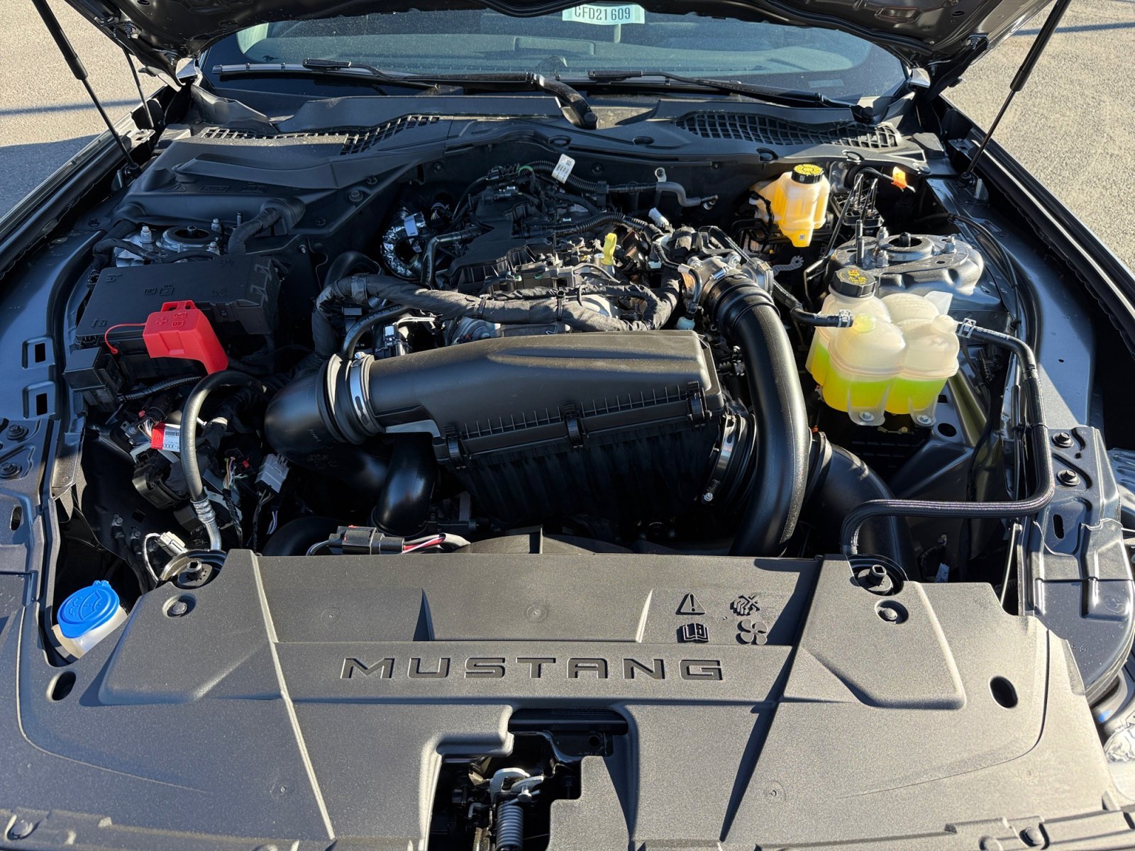 New 2026 Carbonized Gray Metallic Ford EcoBoost® Fastback image 20