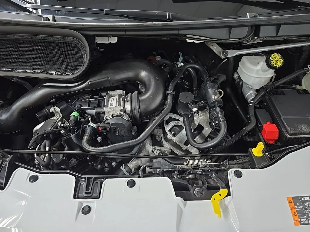 Used 2025 White Ford Base image 14