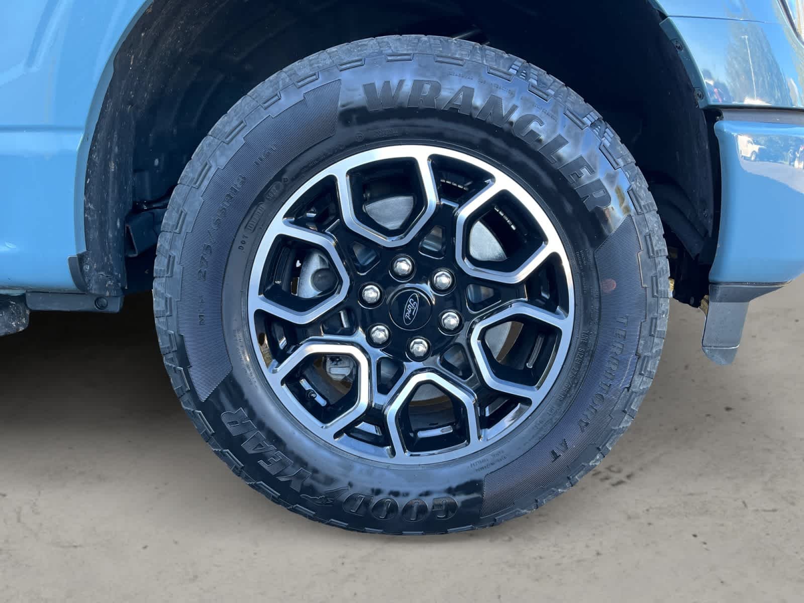 Used 2023 Area 51 Blue Ford XL image 10