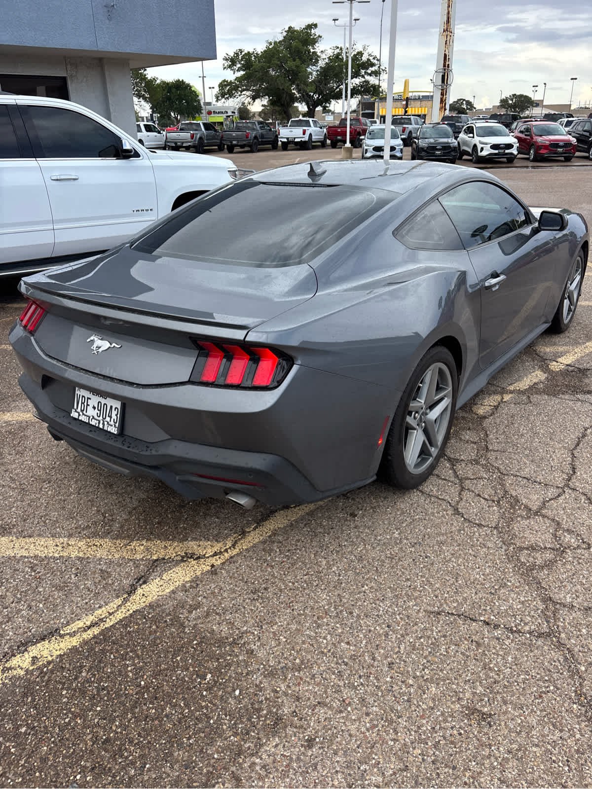 Used 2024 Carbonized Gray Ford EcoBoost Premium image 13