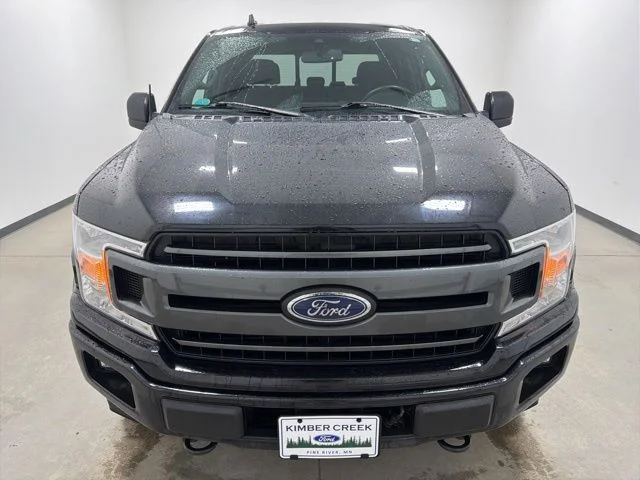 Used 2019 Ford F-150 XLT with VIN 1FTEW1E47KFA16993 for sale in Pine River, Minnesota