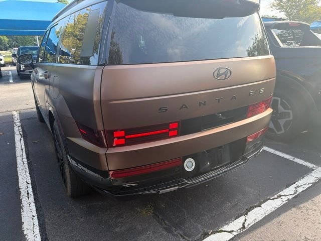 Used 2024 Earthy Brass Matte Hyundai Calligraphy image 6