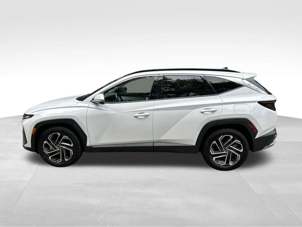 Used 2025 White Hyundai Limited image 2