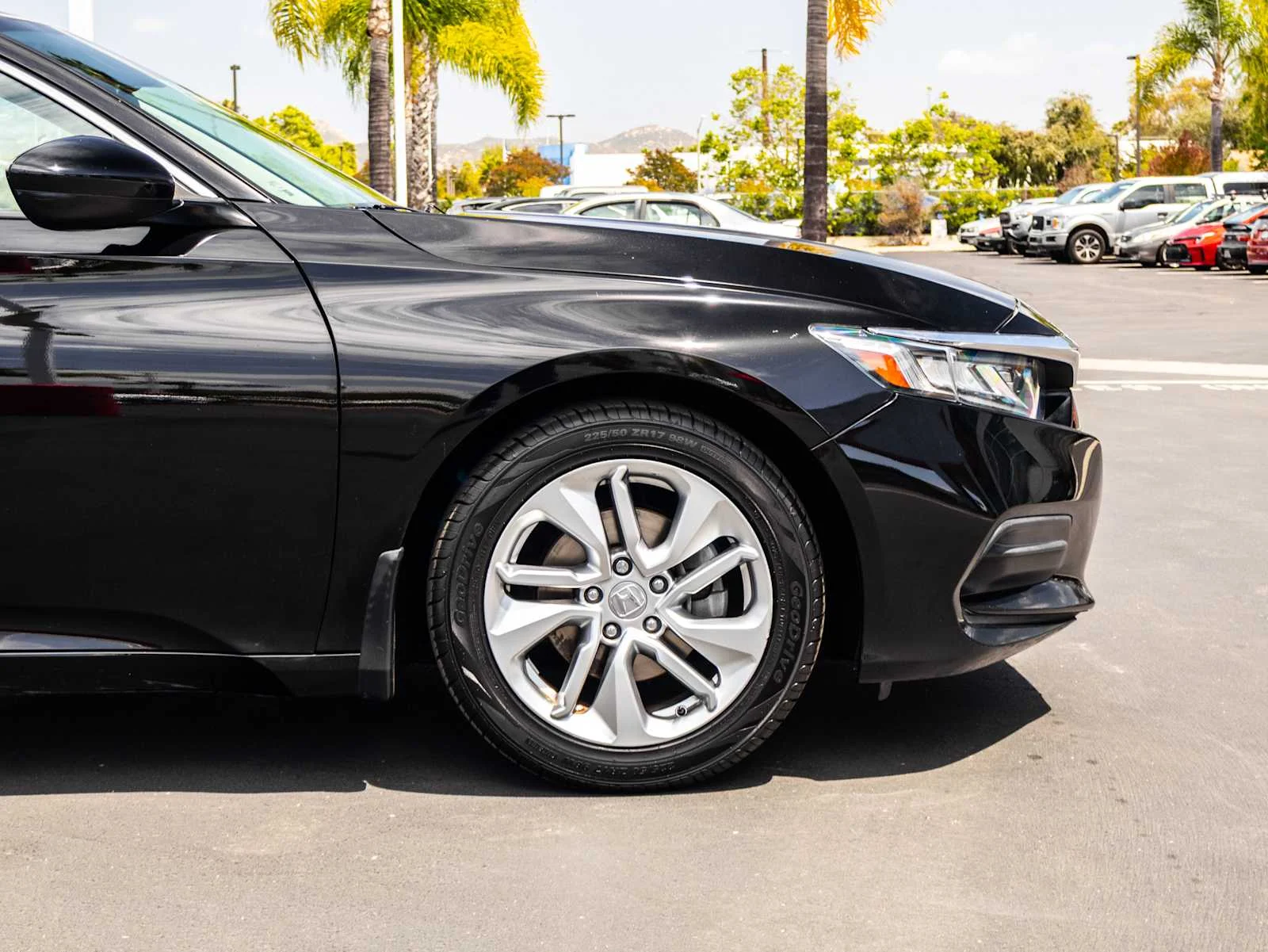 Used 2019 Crystal Black Pearl Honda LX 1.5T image 7
