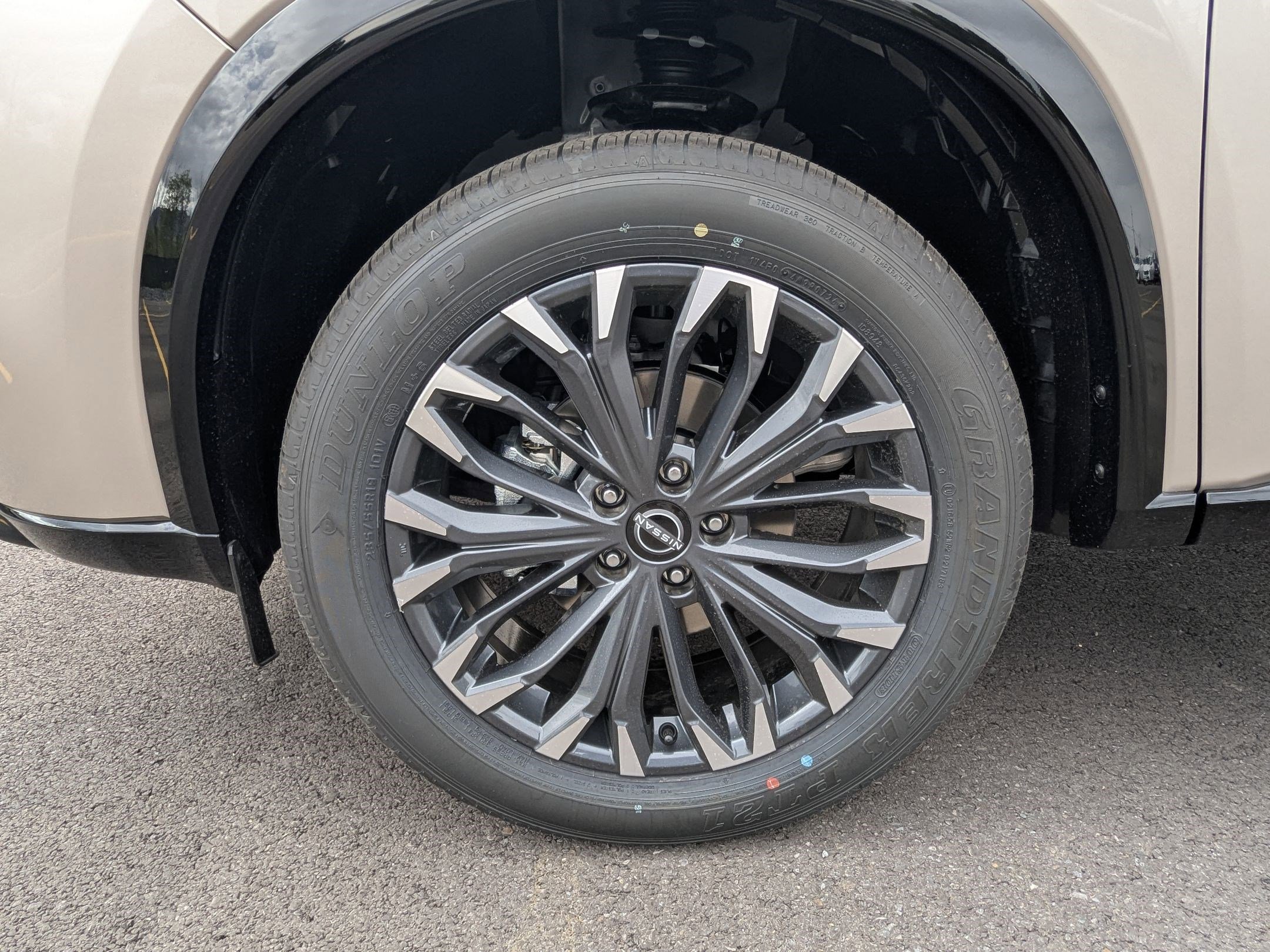 New 2026 Champagne Silver Metallic/Super Black Nissan Platinum image 17