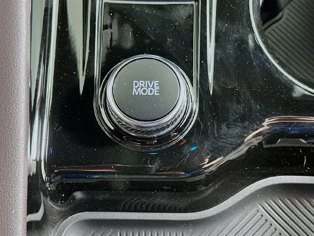 New 2026 Black Ford Platinum image 20