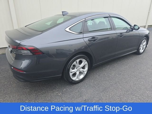 Used 2024 Gray Honda LX image 5