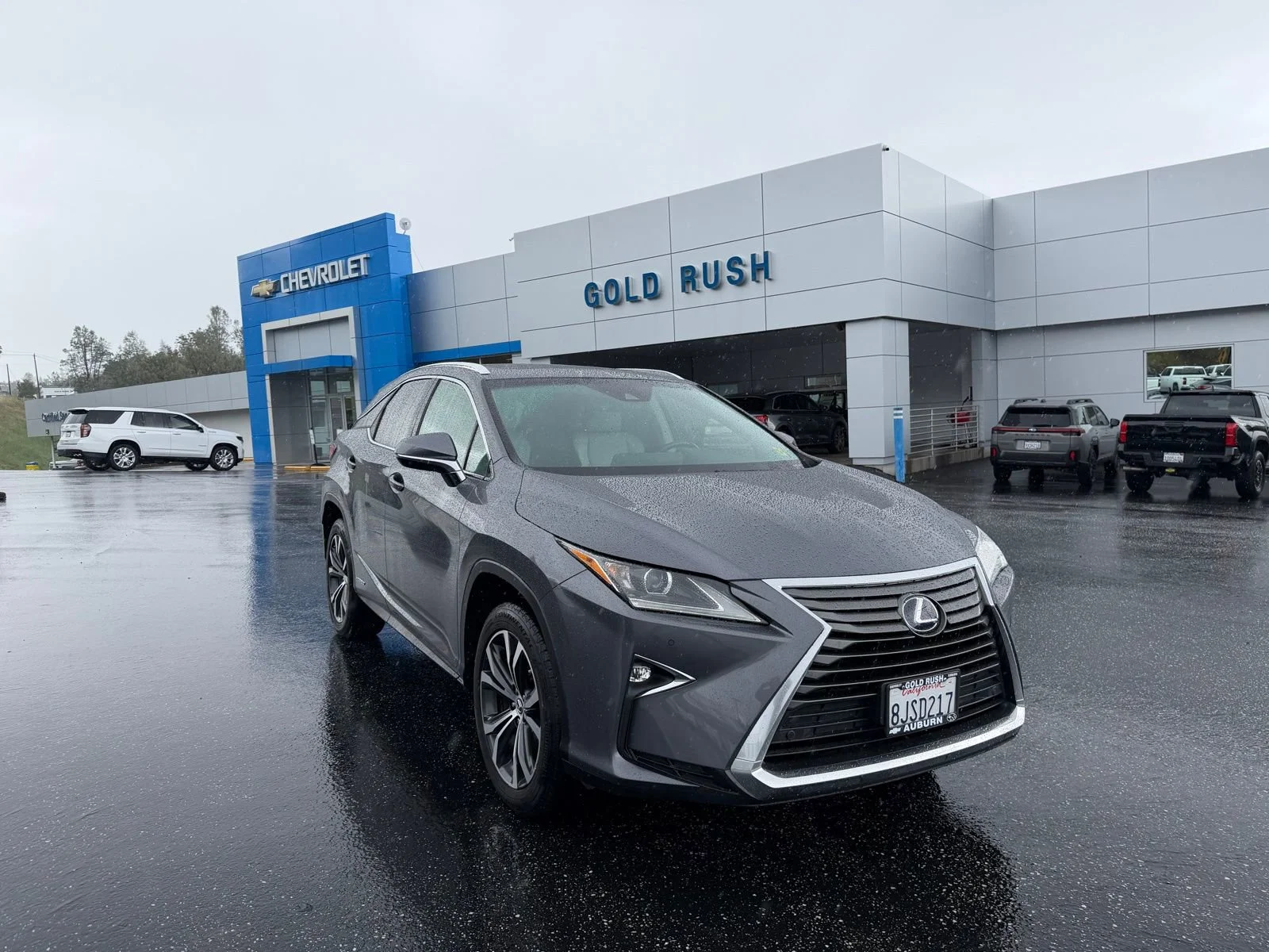 2019 Lexus RX Hybrid