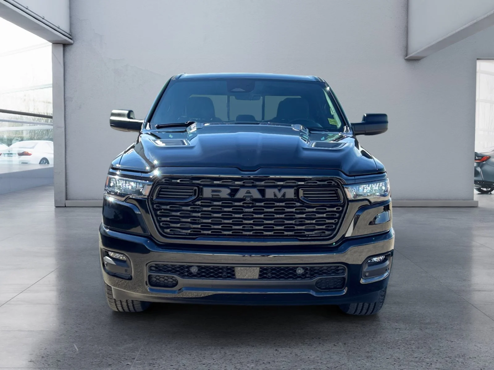 New 2027 Diamond Black Crystal Pearl Ram Express image 8