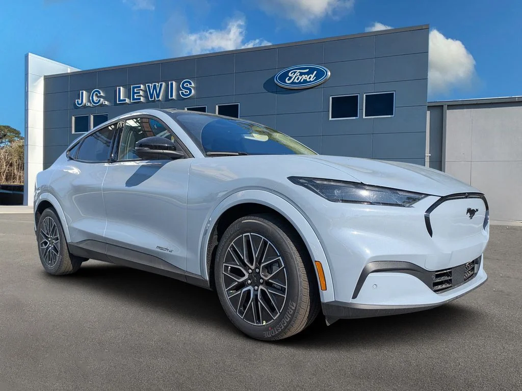 New 2026 Gray Ford Premium image 1