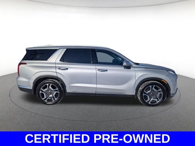 2023 Hyundai Palisade Limited - Photo 10