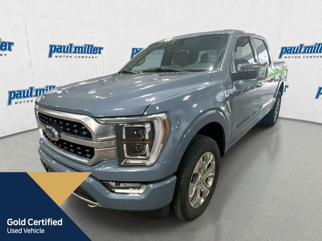 Certified Used 2023 Gray Ford Platinum image 1