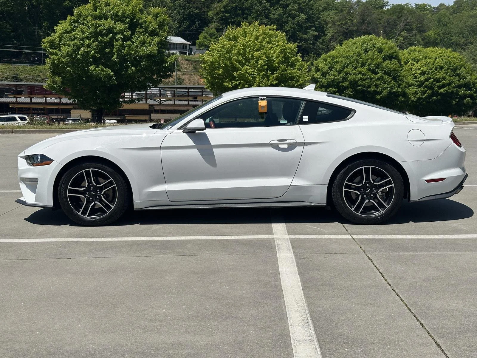 Used 2021 Oxford White Ford EcoBoost Premium image 4