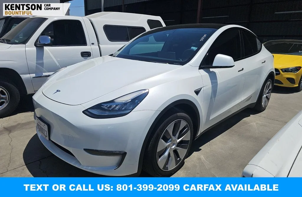 2023 Tesla Model Y's photo