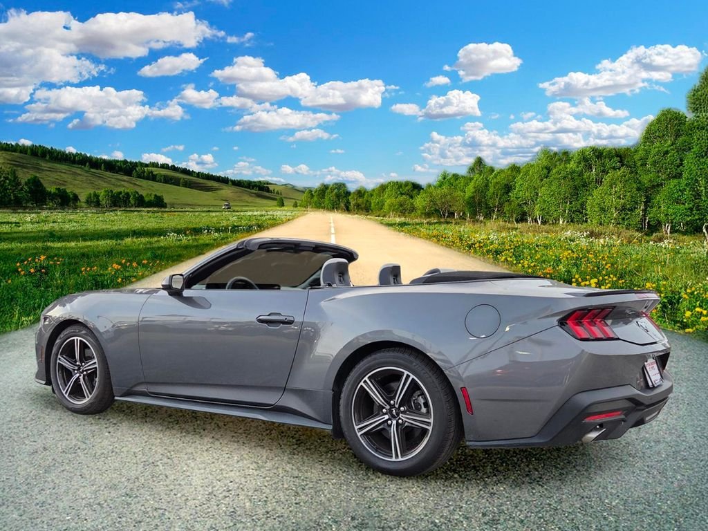 Used 2024 Gray Ford EcoBoost Premium image 4
