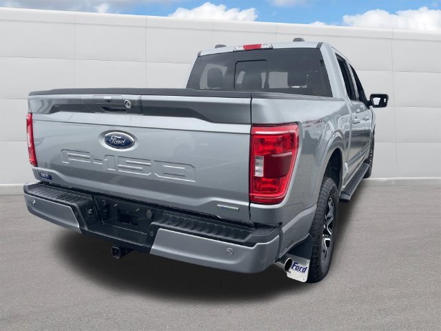 Used 2023 Silver Ford XLT image 5