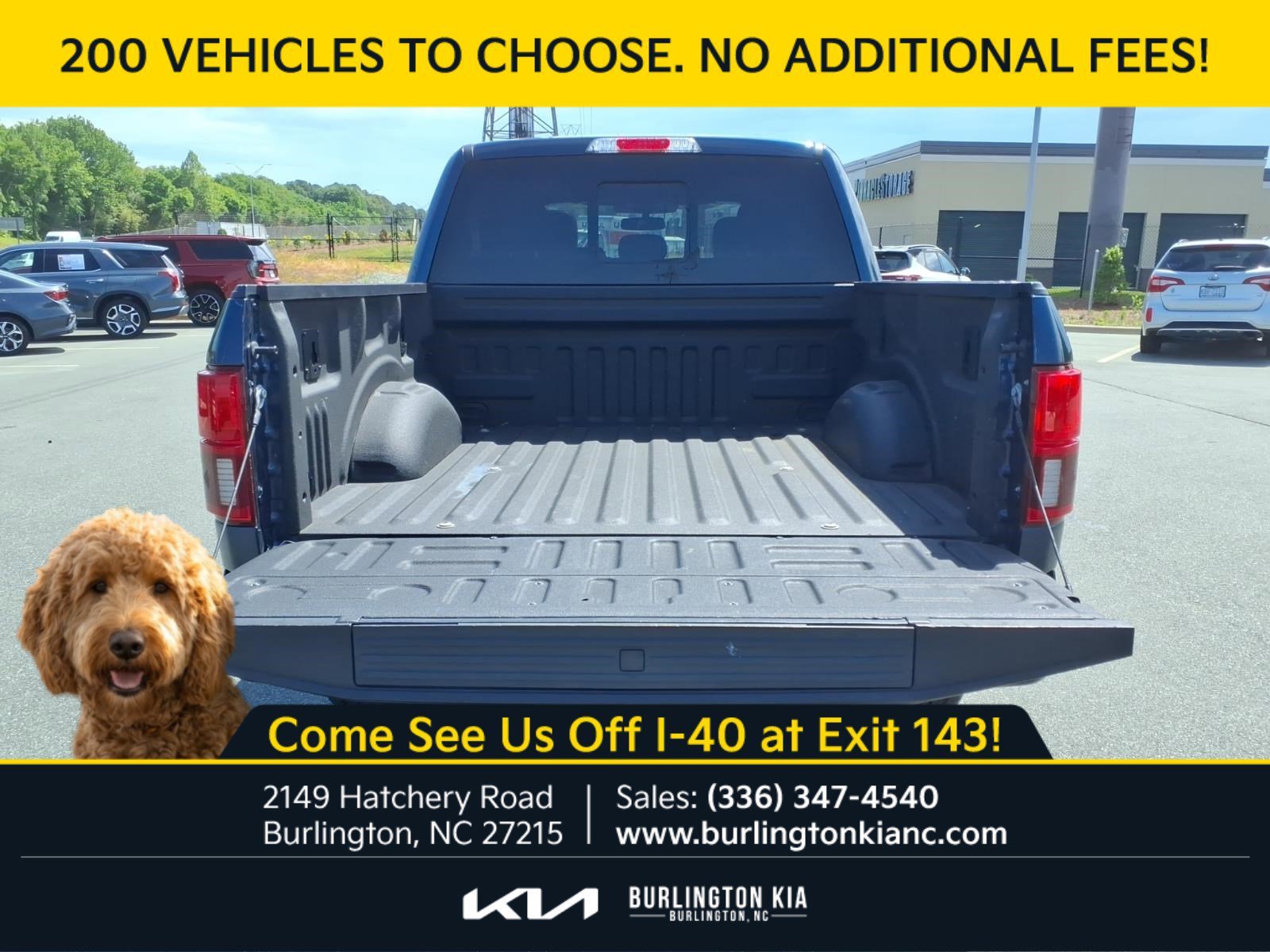 Used 2020 Blue Ford Platinum image 25
