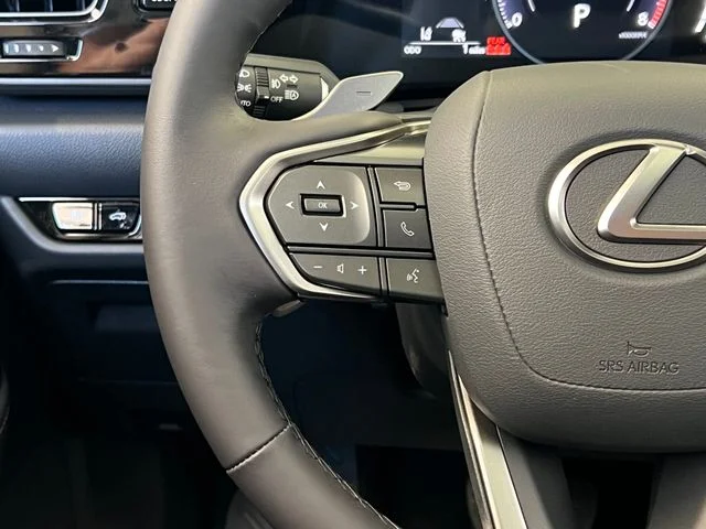 New 2026 Atomic Silver Lexus PREMIUM image 36