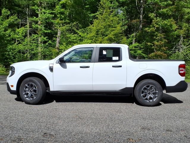 New 2026 Oxford White Ford XLT image 3