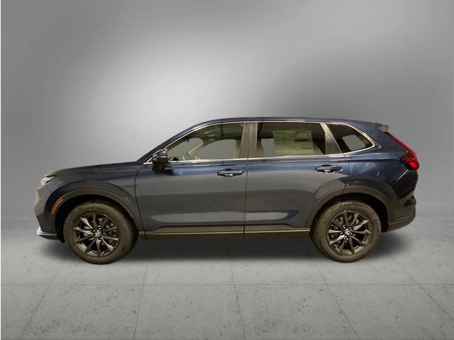 New 2026 Canyon River Blue Metallic Honda EX-L image 2