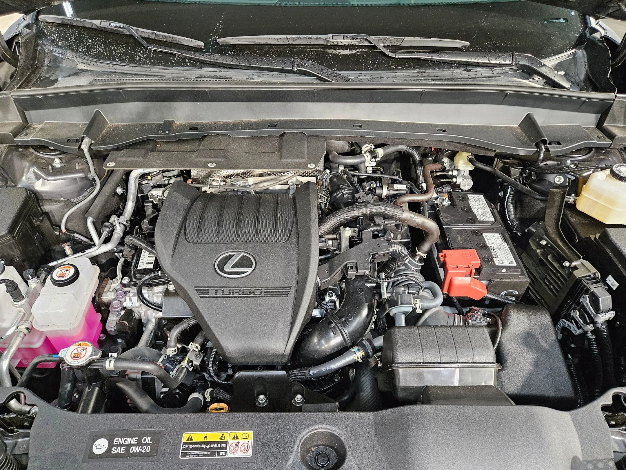 2025 Lexus TX Base - Photo 19