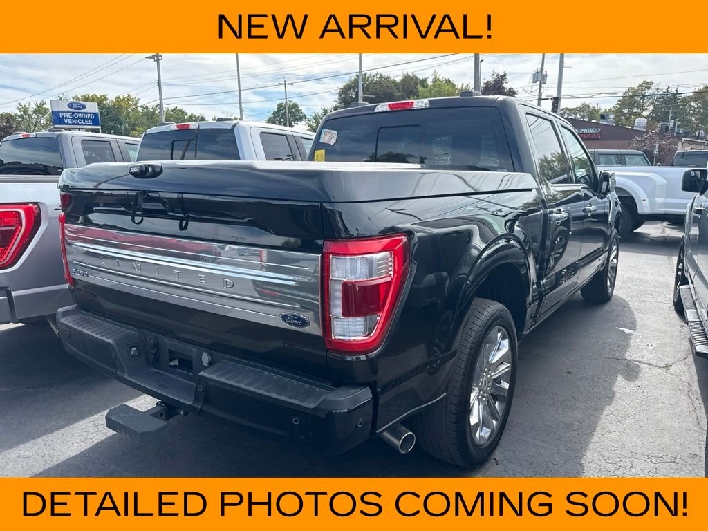 Used 2023 Black Metallic Ford Limited image 3