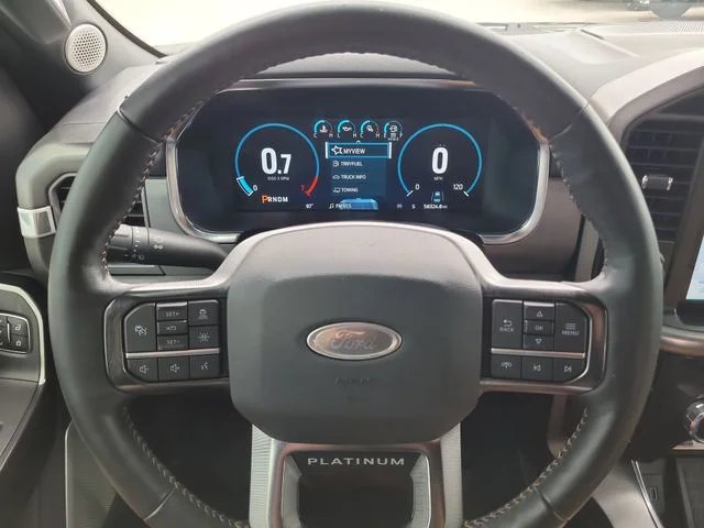 Used 2022 Blue Ford Platinum image 31