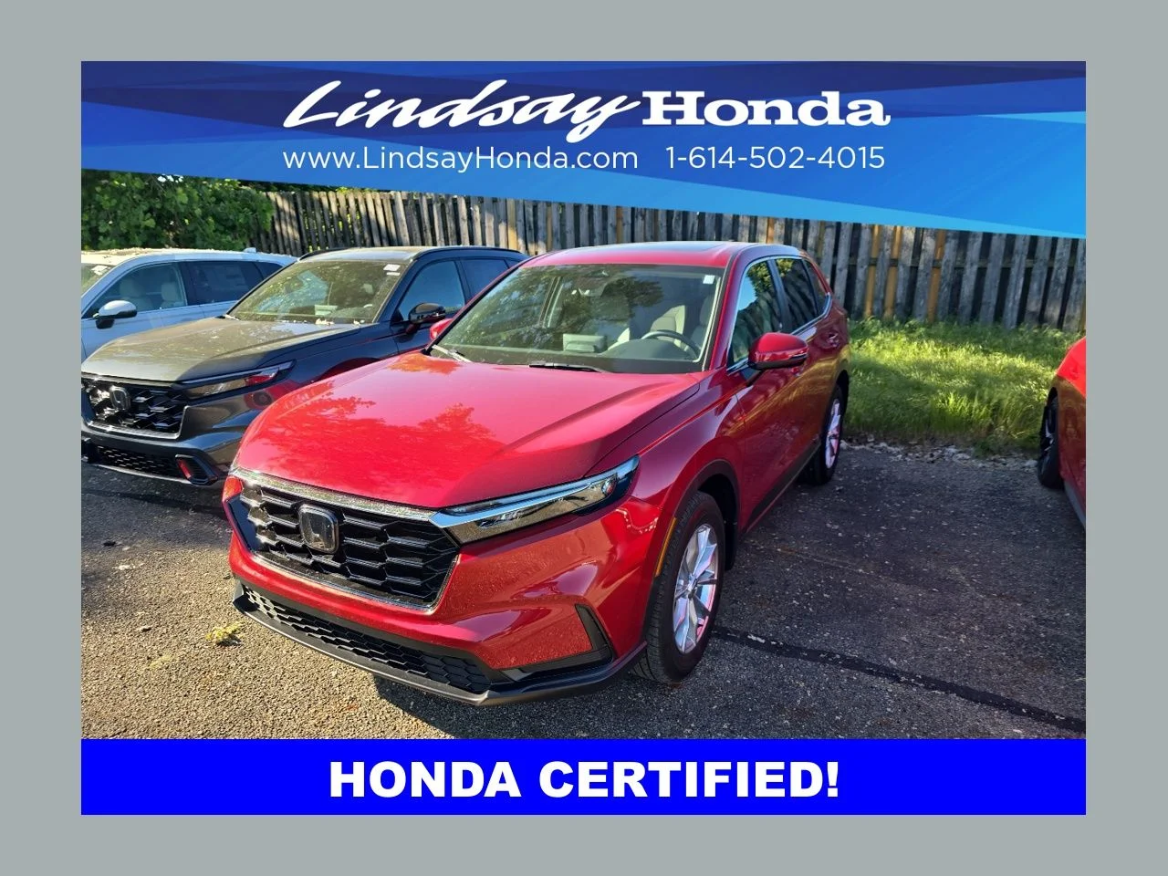 2024 Honda CR-V EX AWD's photo