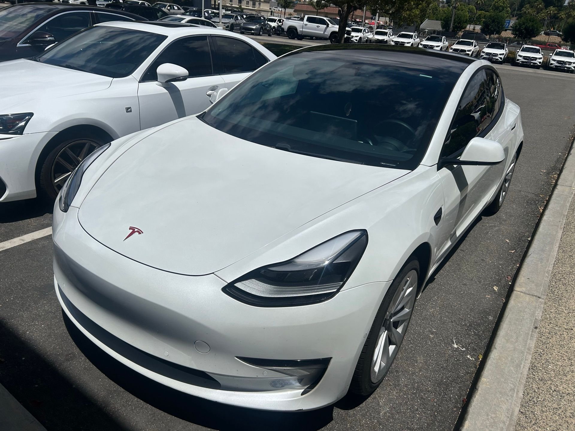 2021 Tesla Model 3's photo