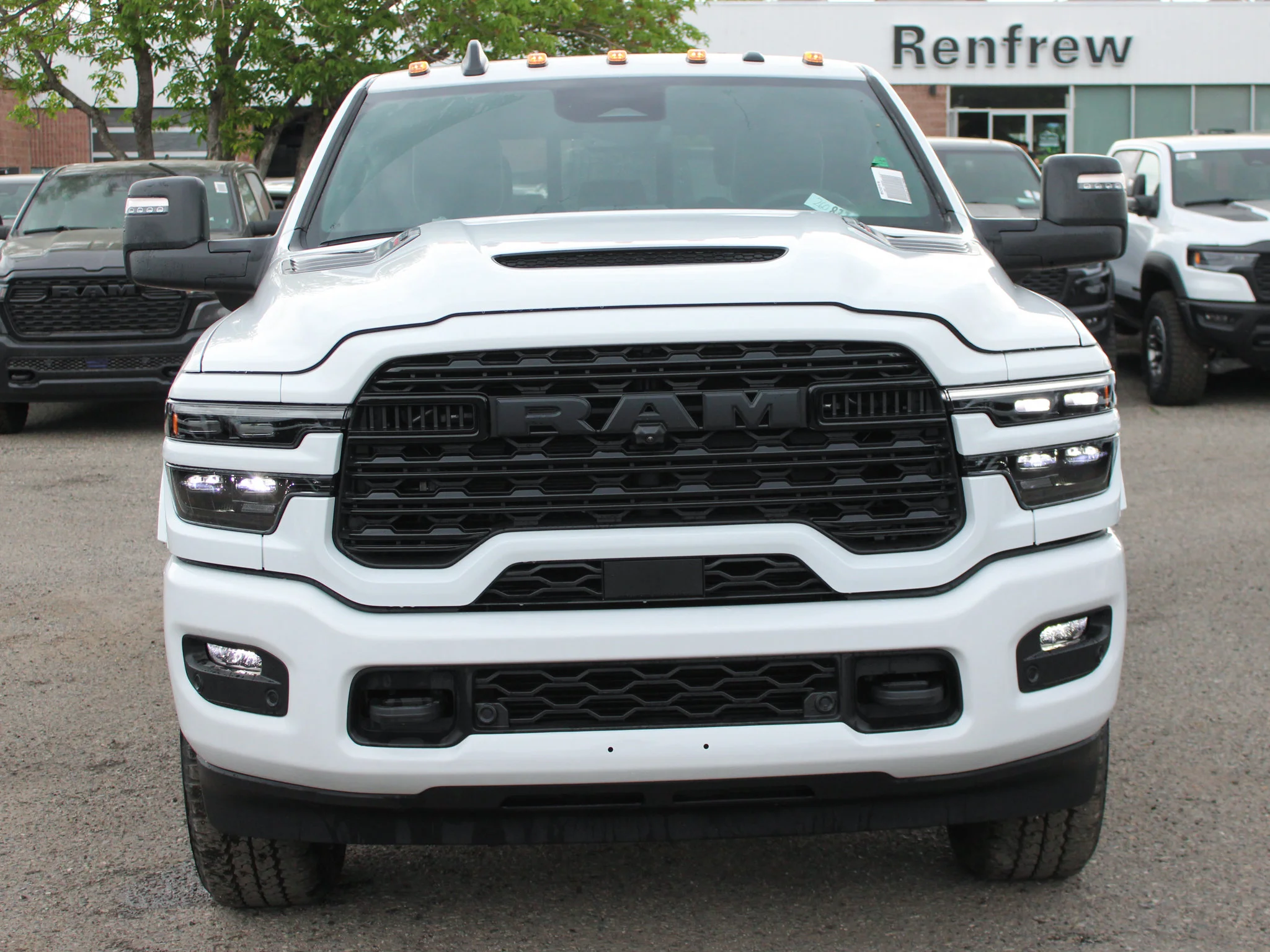 New 2026 White RAM Limited* image 9