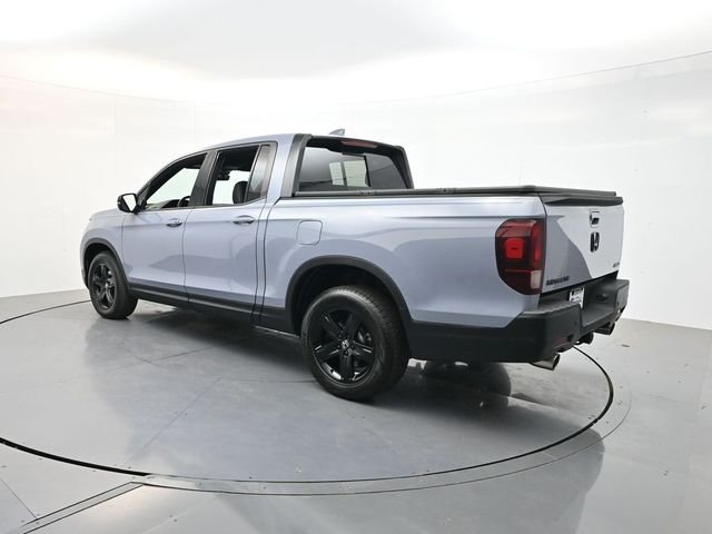 Used 2023  Honda Black Edition image 5