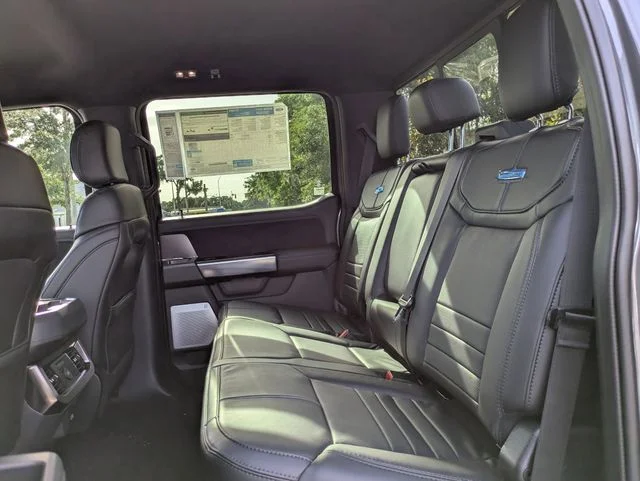 New 2026 Gray Ford Platinum image 14