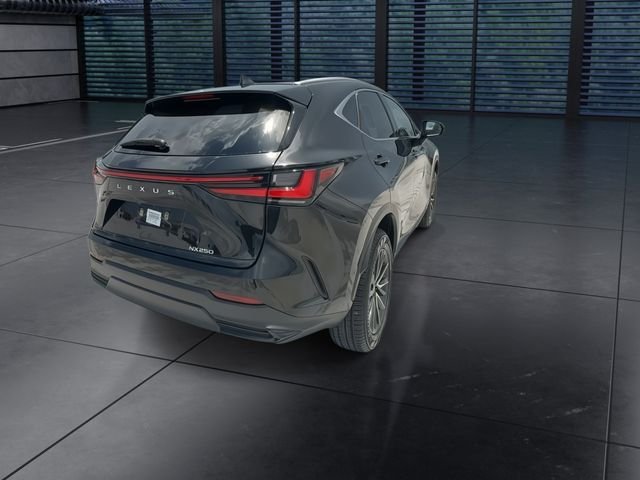 Certified Used 2024 Black Lexus 250 Premium image 8