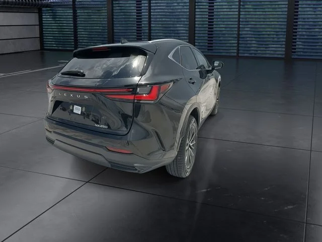 Used 2024 Black Lexus 250 Premium image 8
