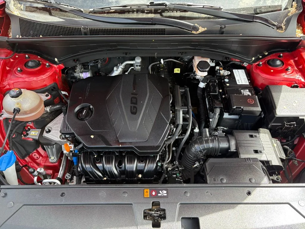 View 27