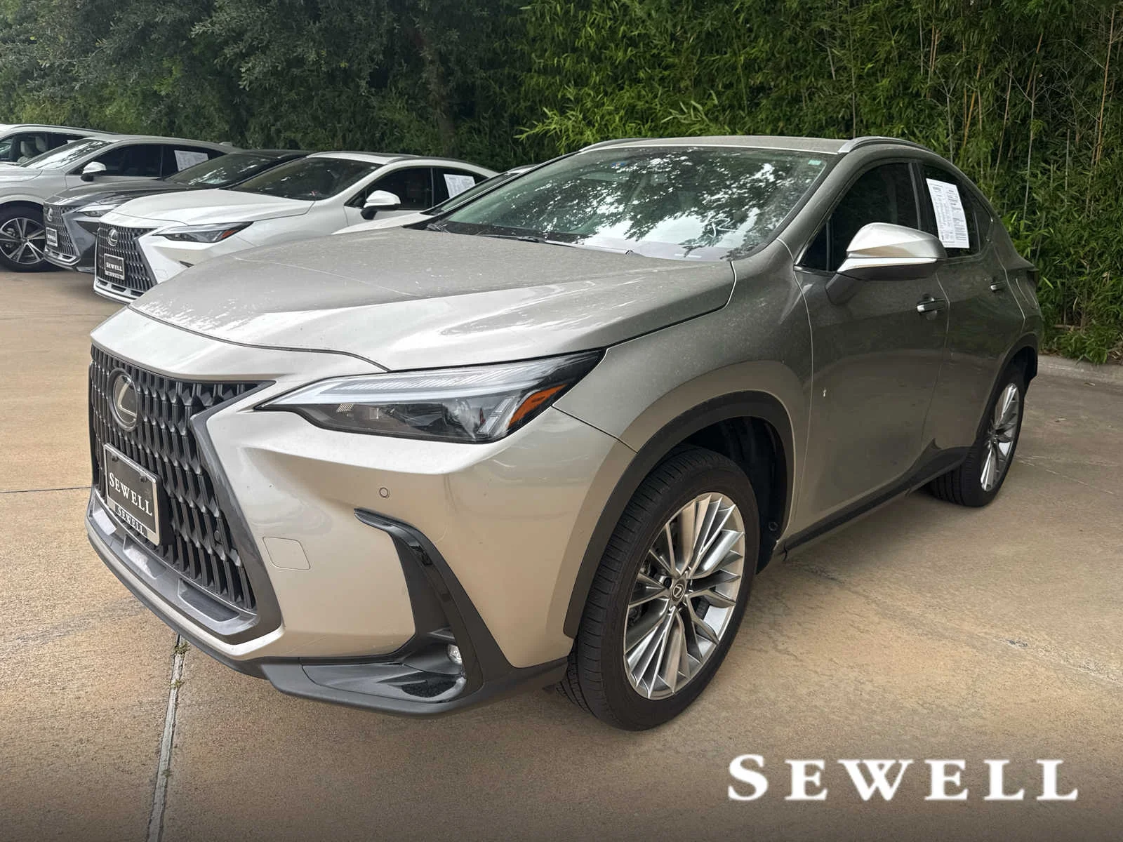 2025 Lexus NX 350's photo