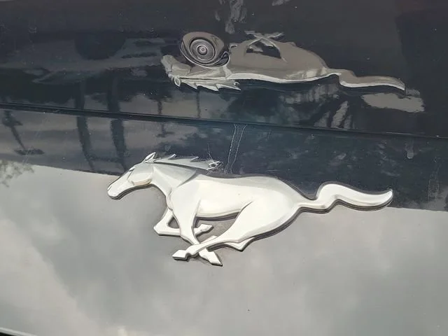 2024 Ford Mustang EcoBoost - Photo 10