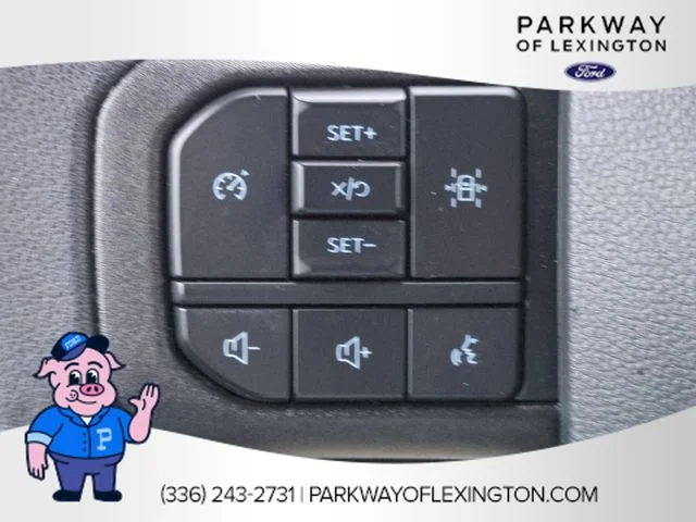 Used 2025 White Ford STX image 16